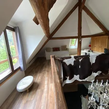 Chalet Spacieux Et Authentique 12 Personnes *