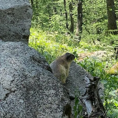 Spacieux Et Authentique 12 Personnes Allos